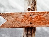 Wintergarten COVID-19 Resource&nbsp;Page